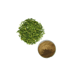supplier high quality green tea extract powder